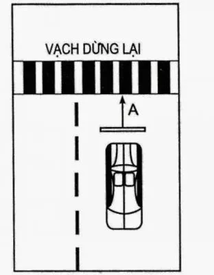 Sơ đồ bài 2: Dừng xe nhường đường cho người đi bộ